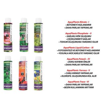 Reeflowers 6 x 85 ml Bitki Gübre Seti