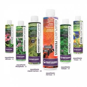 Reeflowers 6 x 85 ml Bitki Gübre Seti