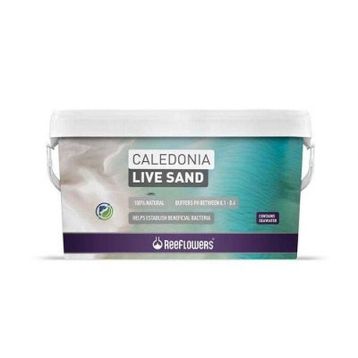 Reeflowers Caledonia Live Sand Gold 18 kg Akvaryum Kumu