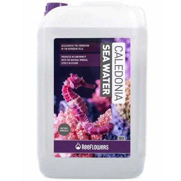 Reeflowers Caledonia Sea Water 20 lt Deniz Suyu