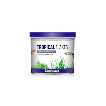 Reeflowers Tropical 8 lt Balık Yemi