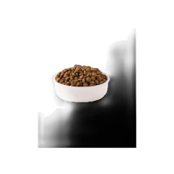 Reflex Multi Color Tavuklu 1 kg Yetişkin Açık Kedi Maması