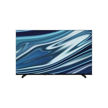 Regal 43T01900 43 inç 109 Ekran 4K Ultra HD Vidaa LED TV