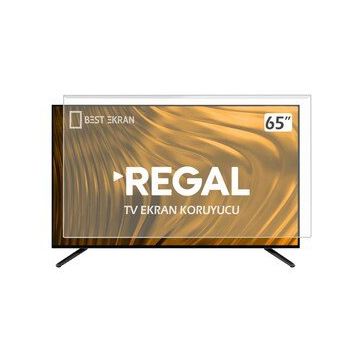 Regal 65R7040U Uyumlu Tv Ekran Koruyucu