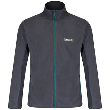 Regatta Ashton Gri Erkek Polar
