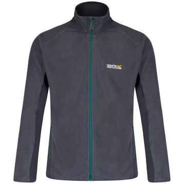 Regatta Ashton Gri Erkek Polar