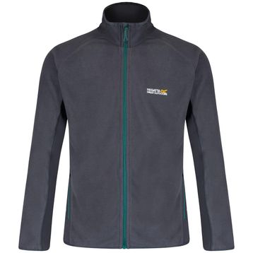 Regatta Ashton Gri Erkek Polar