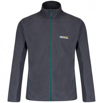 Regatta Ashton Gri Erkek Polar
