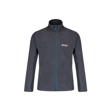Regatta Ashton Gri Erkek Polar