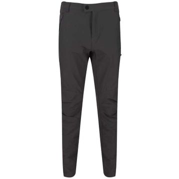 Regatta Highton Gri Erkek Pantolon