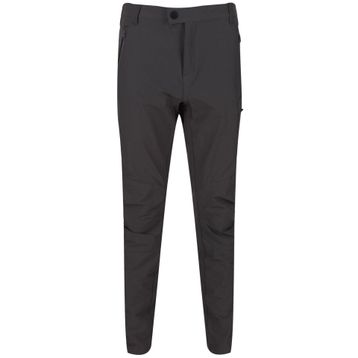 Regatta Highton Gri Erkek Pantolon