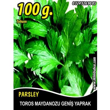 Rem Seeds 100gr Toros Maydanozu Tohumu