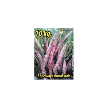 Rem Seeds 10kg Oturak Hale Barbunya Tohumu