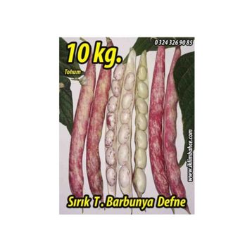 Rem Seeds 10kg Sırık Defne Barbunya Tohumu