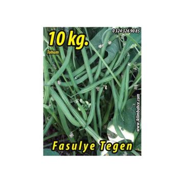 Rem Seeds 10kg Tegen Oturak Fasulye Tohumu