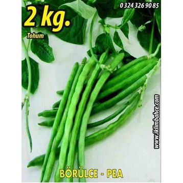 Rem Seeds 2kg Karagöz Karnıkara Börülce Tohumu