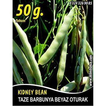 Rem Seeds 50gr Karlı Beyaz Oturak Barbunya Tohumu
