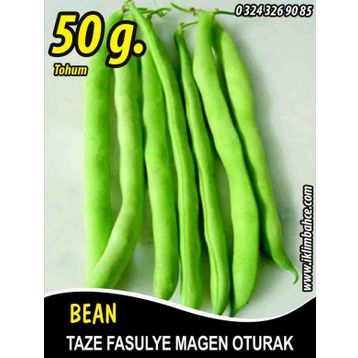Rem Seeds 50gr Magen Oturak Fasulye Tohumu