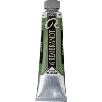 Rembrandt 40 ml 2 No:623 Sap Green Yağlı Boya