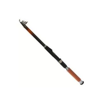 Remixon Cougar 3.00 m 50-100 gr Tele Kamış