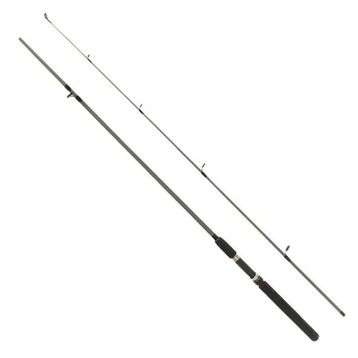 Remixon Flex Spin 180 cm 10-30 gr 2 Parça Spin Kamış