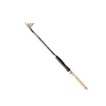 Remixon Quantum 210 cm 20-40 gr Kamış
