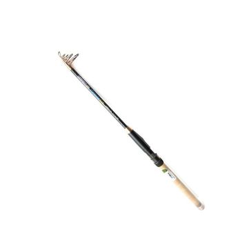 Remixon Quantum 210 cm 20-40 gr Kamış