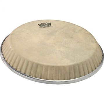 Remo 11 inç Conga Derisi