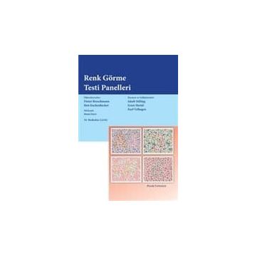 RENK GÖRME TESTI PANELLERI - KOLEKTIF