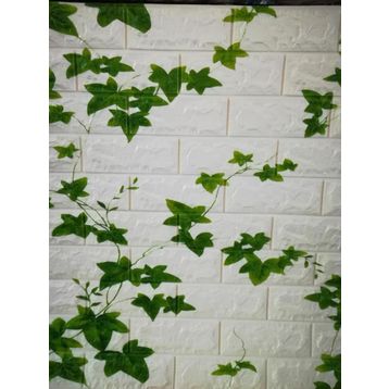 Renkli Duvarlar NW88 Duvar Kağıdı