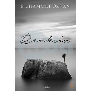 Renksiz - Muhammet Özkan