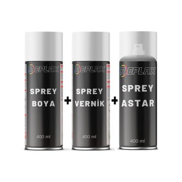 Replax Peugeot 206 Kod EZR Aliminyum Gri Vernik Astar ve Sprey Boya