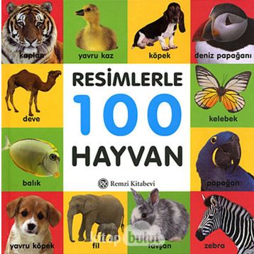 RESIMLERLE 100 HAYVAN - KOMISYON