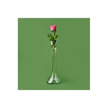 Retro Time 50 cm Asorti Islak Gül Dalı