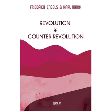 Revolution and Counter Revolution - Karl Marx