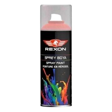 Rexon 9010 Mat Beyaz 400 ml Sprey Boya