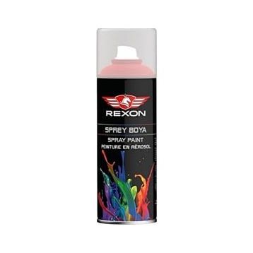Rexon Isıya Dayanıklı 400 ml Gümüş Sprey Boya