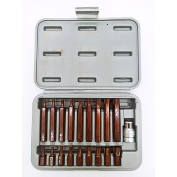 RİCO 19 Parça Kaplamalı Torx Bits Set