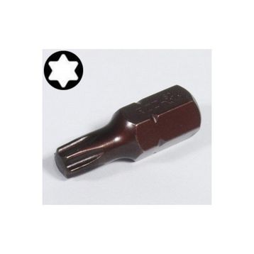 Rico T50 Mıknatıslı 10x30 mm Torx Bits Uç