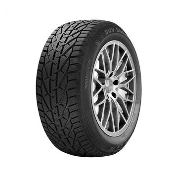 Riken 195/55 R16 87H Snow Kış Lastiği