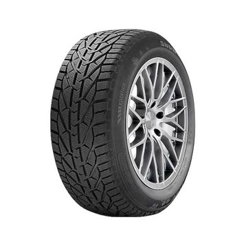 Riken 205/55 R17 95V XL Snow Kış Lastiği