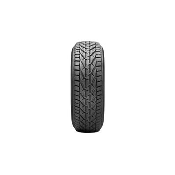 Riken 205/55 R17 95V XL Snow Kış Lastiği