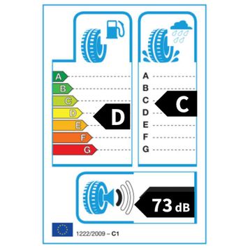 Riken 205/65 R16C 107/105R Cargo Winter Kış Lastiği
