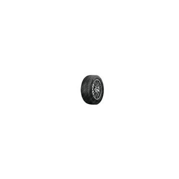 Riken 215/65R16 102V XL All Season SUV Dört Mevsim Lastiği 2026