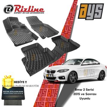 Rizline Bmw 2 Serisi 3D Havuzlu Paspas