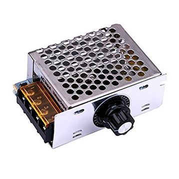 Robot Diyarı AC 220V 4000W Dimmer Regülatör