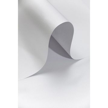 Roco Paper Sedef Beyaz 160 GR 50x70 CM Fon Kartonu