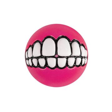 Rogz Toyz Grinz 6.4 cm Pink Ödül Hazneli Köpek Oyun Topu