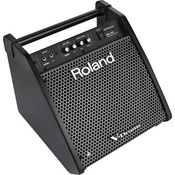 Roland PM-100 80 Watt Davul Monitörü