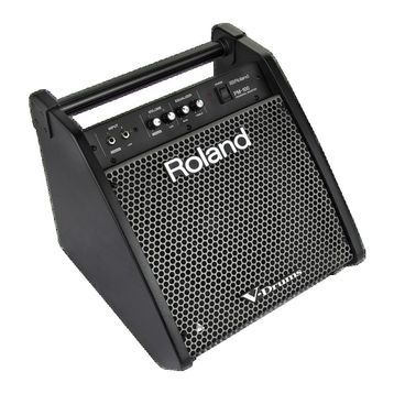 Roland PM-100 80 Watt Davul Monitörü